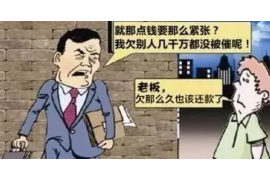 怀化融资清欠服务